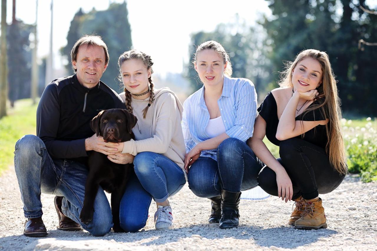 Le Mas Terre Des Anges Sarrians Zewnętrze zdjęcie